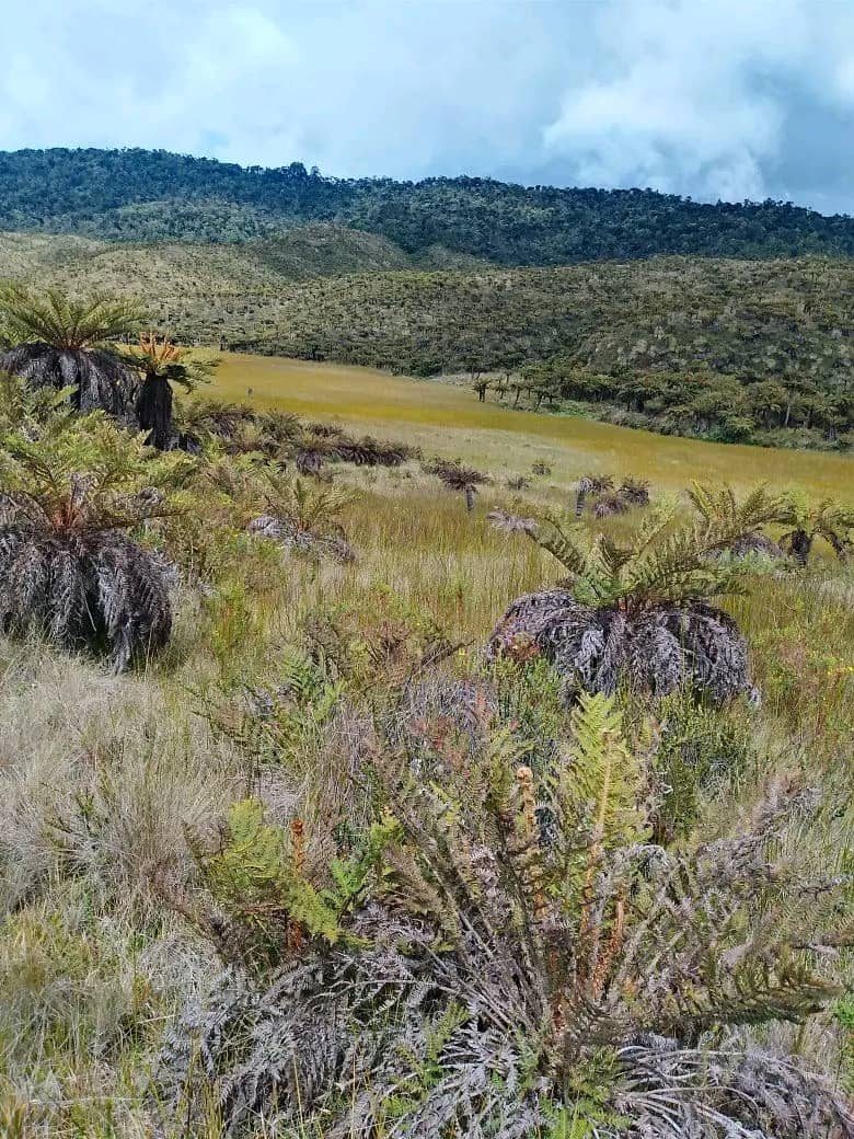 Iyana Take Anda, the house of traditional knowledge