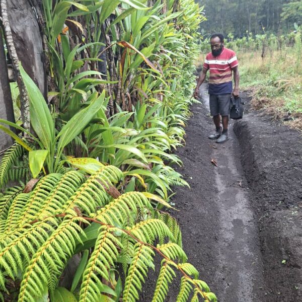 SILVER PACKAGE C — 1–14 Days