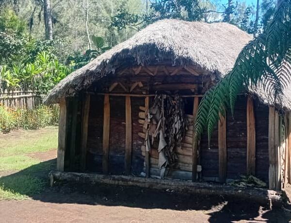 SILVER PACKAGE E — 1–30 Days