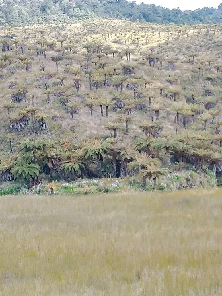 Adventure tourism Enga