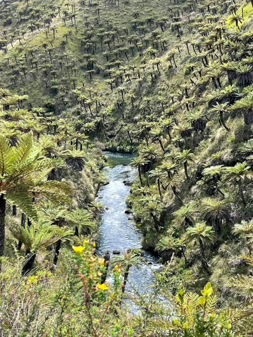 Sangai Sandalu initiation ceremony